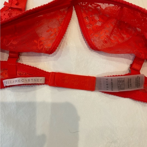 NWT Stella McCartney Gwyneth Gazing Lace See Through Under Wired Bras Size 36C - Picture 10 of 11